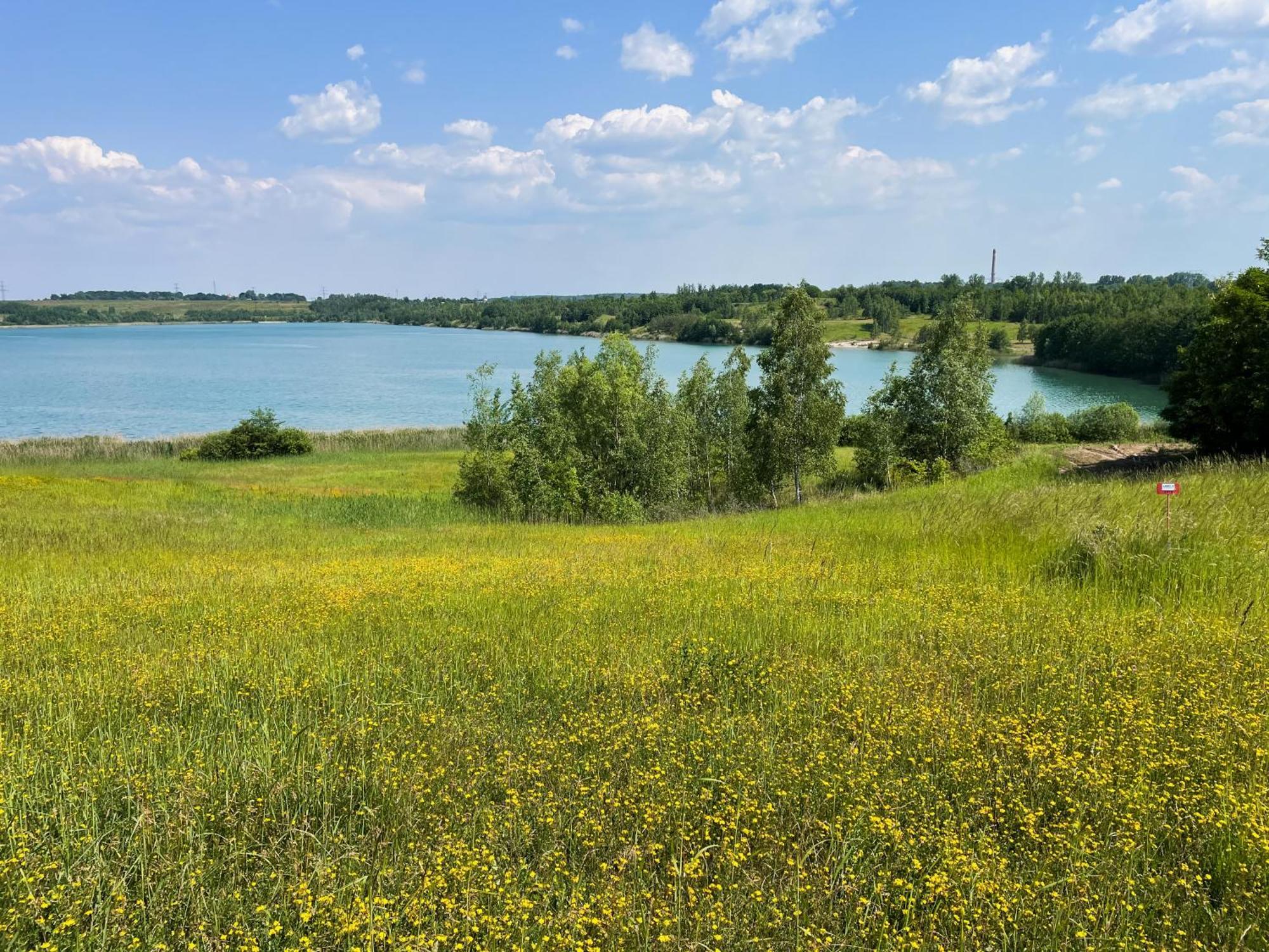 Haus Im Schilf 2 - Ferienwohnungen Am Hainer See Bei Leipzig Neukieritzsch Kültér fotó
