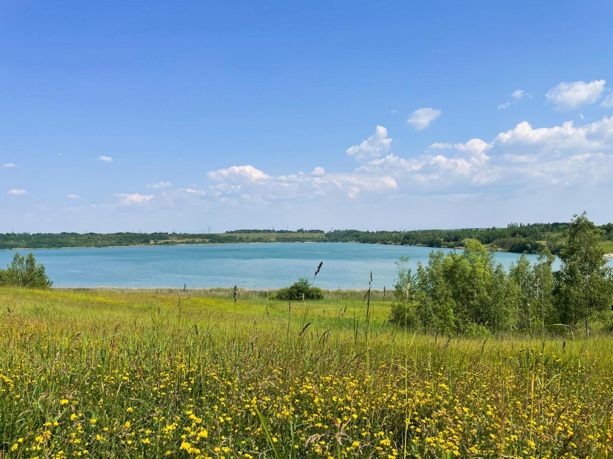 Haus Im Schilf 2 - Ferienwohnungen Am Hainer See Bei Leipzig Neukieritzsch Kültér fotó